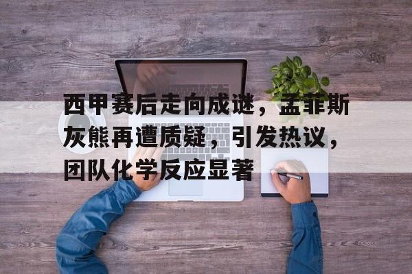 西甲赛后走向成谜，孟菲斯灰熊再遭质疑，引发热议，团队化学反应显著的简单介绍